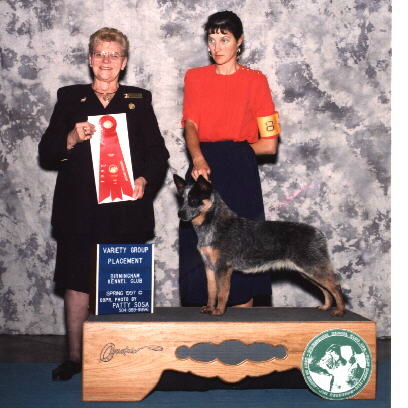 Tilly winning a Group 2 at 10 months old